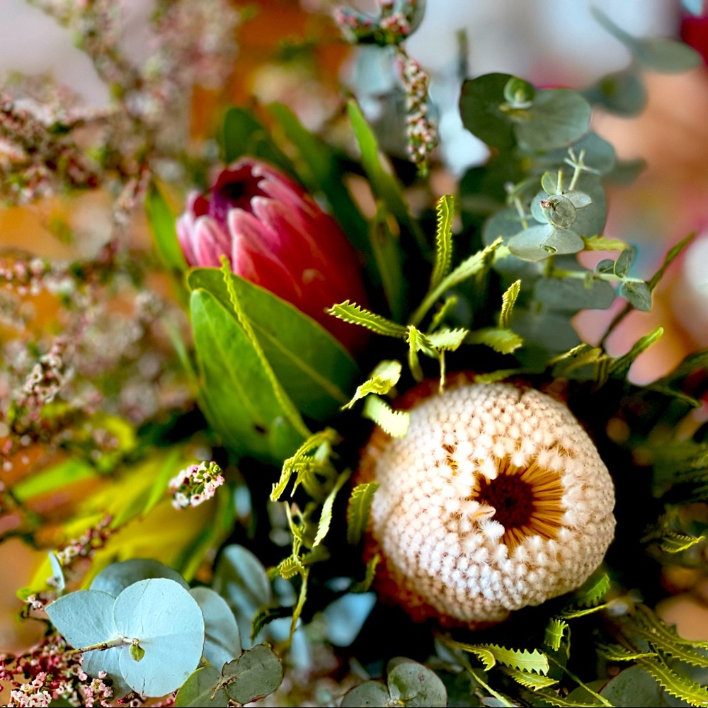 Meet your Posher, Dina